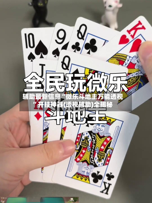 辅助最新信息“微乐斗地主万能透视	”开挂神器{透视辅助}全揭秘-第2张图片