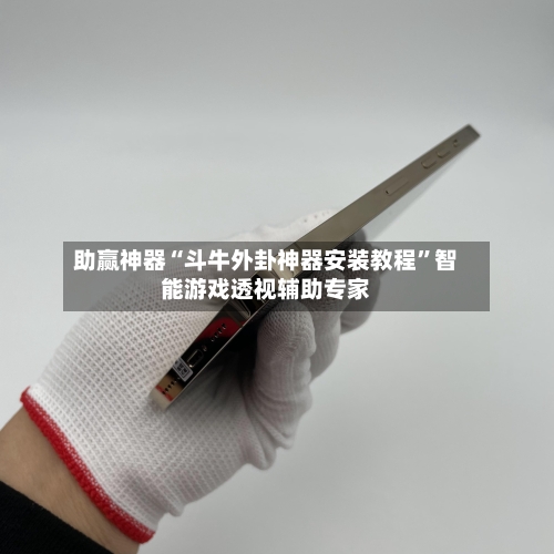 助赢神器“斗牛外卦神器安装教程”智能游戏透视辅助专家-第2张图片