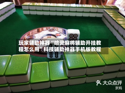 玩家辅助神器“哈灵麻将辅助开挂教程怎么用”科技辅助神器手机版教程-第2张图片