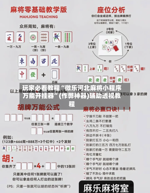 玩家必看教程“微乐河北麻将小程序万能开挂器	”(作弊神器)辅助透视教程-第1张图片