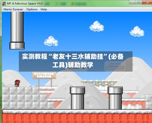 实测教程“老友十三水辅助挂”(必备工具)辅助教学-第3张图片
