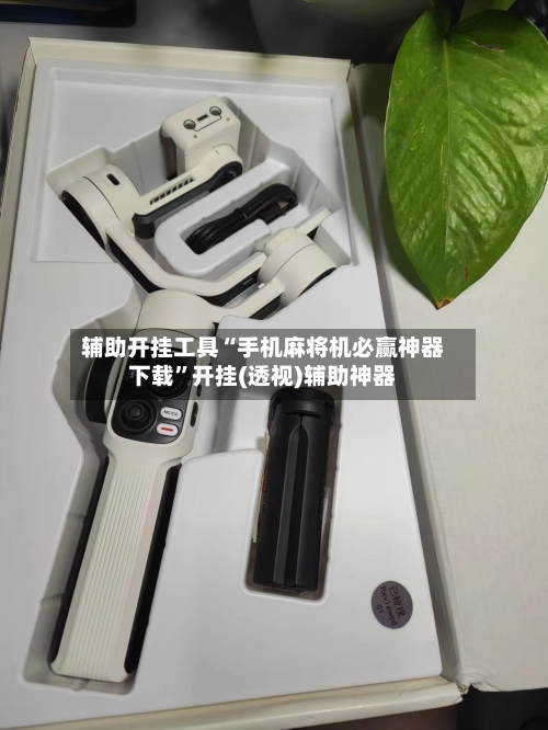 辅助开挂工具“手机麻将机必赢神器下载”开挂(透视)辅助神器-第1张图片