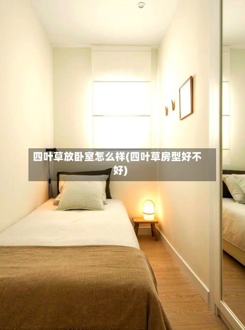 四叶草放卧室怎么样(四叶草房型好不好)-第1张图片