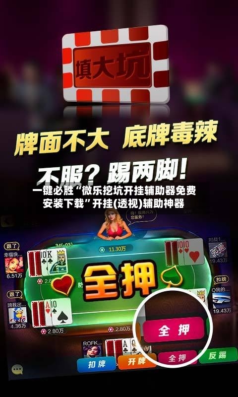 一键必胜“微乐挖坑开挂辅助器免费安装下载”开挂(透视)辅助神器-第1张图片