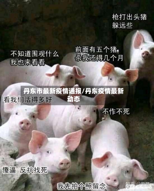 丹东市最新疫情通报/丹东疫情最新动态-第1张图片