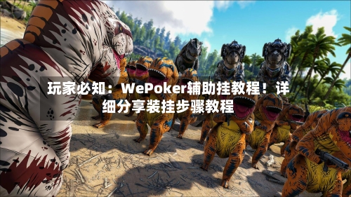 玩家必知：WePoker辅助挂教程！详细分享装挂步骤教程-第3张图片