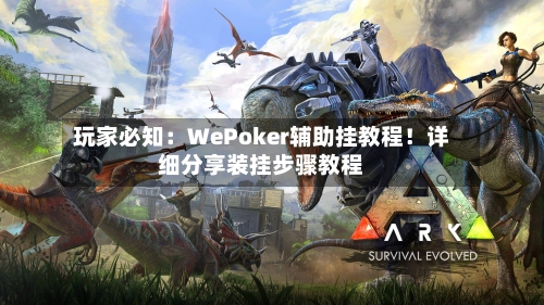 玩家必知：WePoker辅助挂教程！详细分享装挂步骤教程-第2张图片