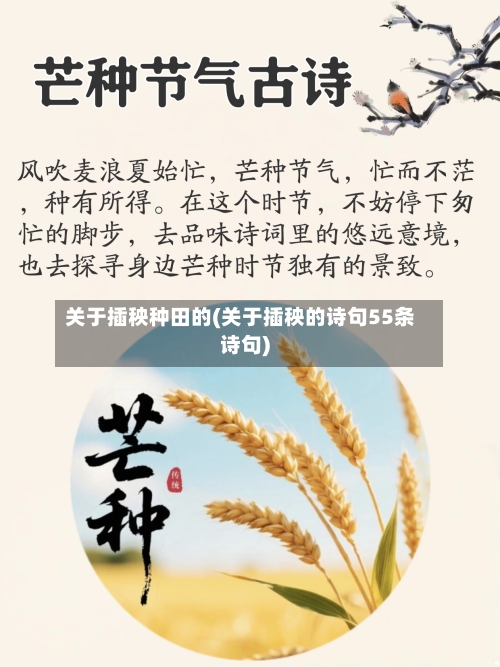 关于插秧种田的(关于插秧的诗句55条诗句)-第1张图片