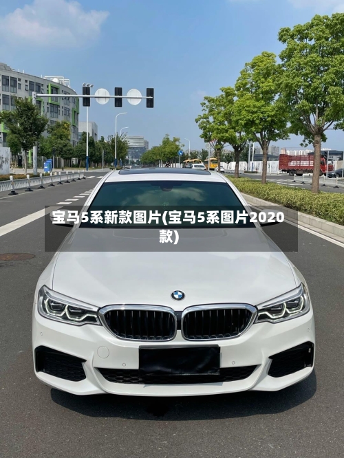 宝马5系新款图片(宝马5系图片2020款)-第2张图片