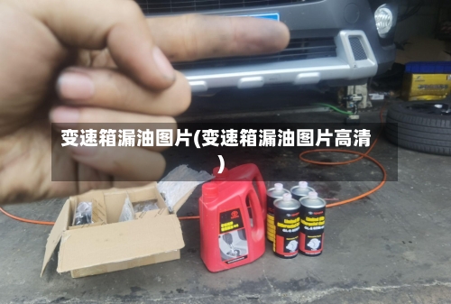 变速箱漏油图片(变速箱漏油图片高清)-第1张图片