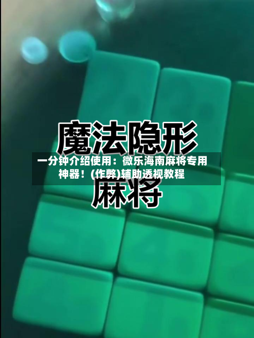 一分钟介绍使用:微乐海南麻将专用神器!(作弊)辅助透视教程-第2张图片