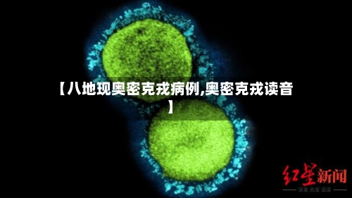 【八地现奥密克戎病例,奥密克戎读音】-第3张图片