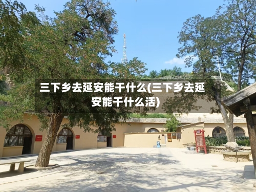 三下乡去延安能干什么(三下乡去延安能干什么活)-第2张图片