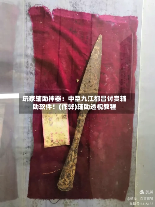玩家辅助神器：中至九江都昌讨赏辅助软件！(作弊)辅助透视教程-第1张图片
