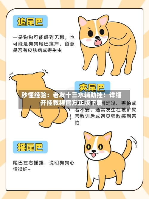 秒懂经验:老友十三水辅助挂!详细开挂教程官方正版下载-第1张图片