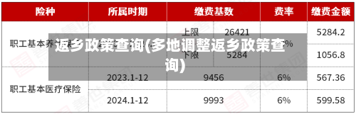 返乡政策查询(多地调整返乡政策查询)-第1张图片