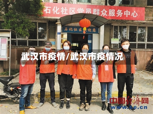 武汉市疫情/武汉市疫情况-第3张图片