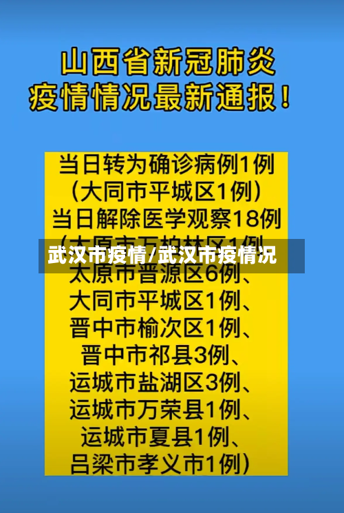 武汉市疫情/武汉市疫情况-第2张图片