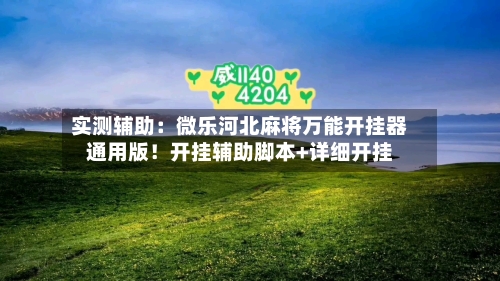 实测辅助:微乐河北麻将万能开挂器通用版!开挂辅助脚本+详细开挂-第2张图片