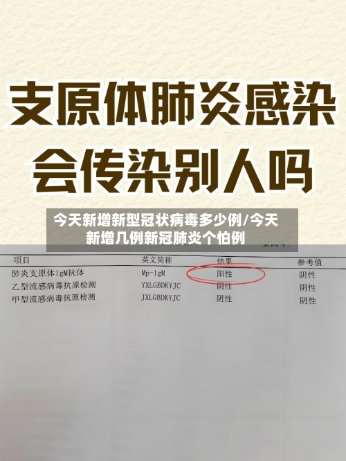 今天新增新型冠状病毒多少例/今天新增几例新冠肺炎个怕例-第2张图片