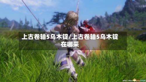 上古卷轴5乌木锭/上古卷轴5乌木锭在哪采