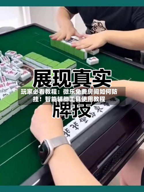 玩家必看教程：微乐免费房间如何防挂！智能辅助工具使用教程-第1张图片