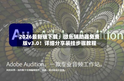 2026最新版下载:微乐辅助器免费版v3.0!详细分享装挂步骤教程-第2张图片
