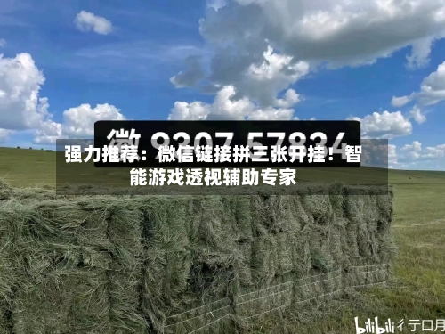 强力推荐:微信链接拼三张开挂!智能游戏透视辅助专家-第1张图片