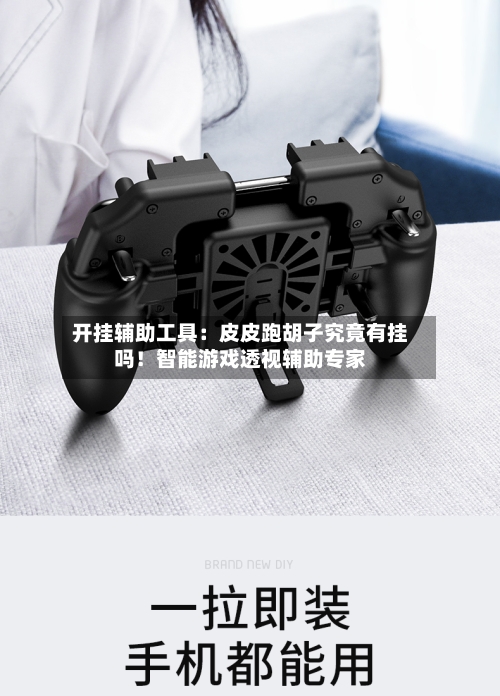 开挂辅助工具:皮皮跑胡子究竟有挂吗!智能游戏透视辅助专家-第1张图片