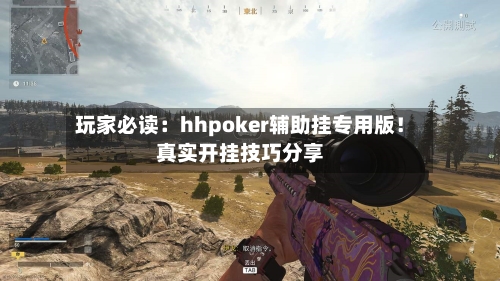 玩家必读:hhpoker辅助挂专用版!真实开挂技巧分享-第3张图片