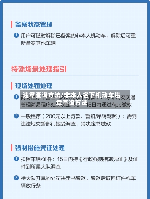 违章查询方法/非本人名下机动车违章查询方法-第3张图片