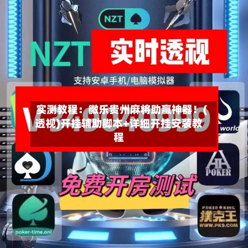 实测教程:微乐贵州麻将助赢神器!(透视)开挂辅助脚本+详细开挂安装教程-第3张图片