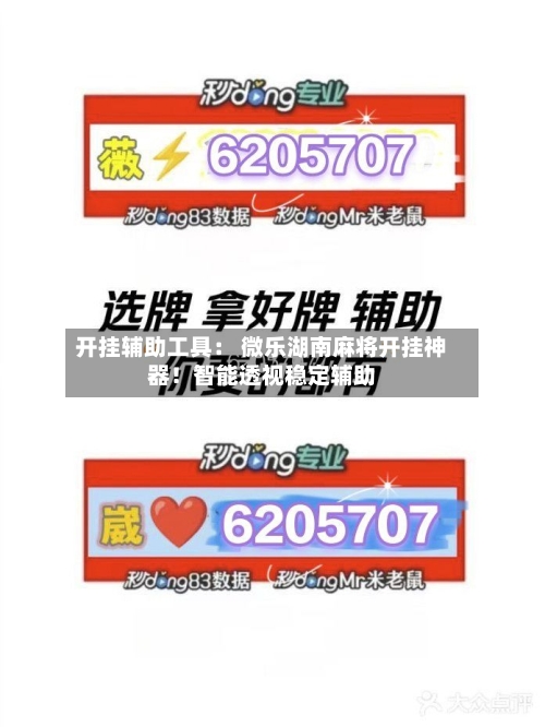 开挂辅助工具: 微乐湖南麻将开挂神器!智能透视稳定辅助-第2张图片