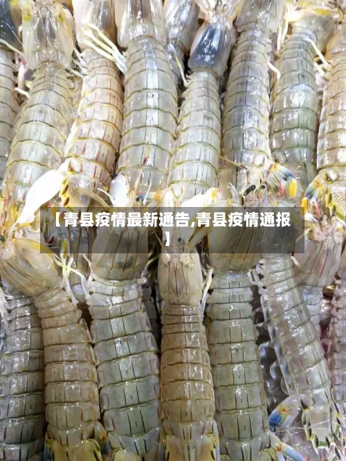 【青县疫情最新通告,青县疫情通报】-第1张图片