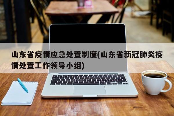 山东省疫情应急处置制度(山东省新冠肺炎疫情处置工作领导小组)