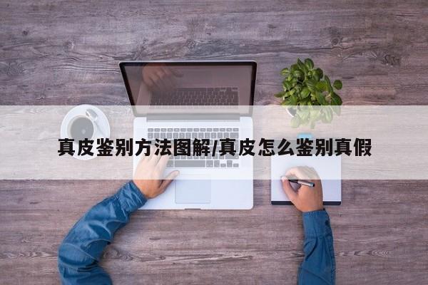 真皮鉴别方法图解/真皮怎么鉴别真假