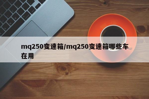 mq250变速箱/mq250变速箱哪些车在用