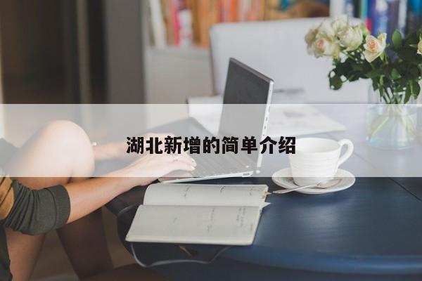 湖北新增的简单介绍