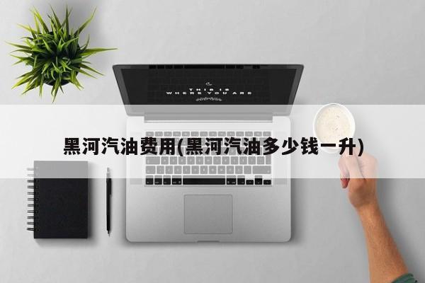 黑河汽油费用(黑河汽油多少钱一升)