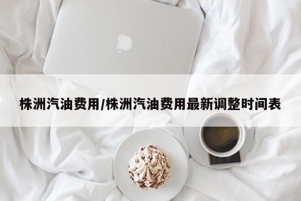 株洲汽油费用/株洲汽油费用最新调整时间表