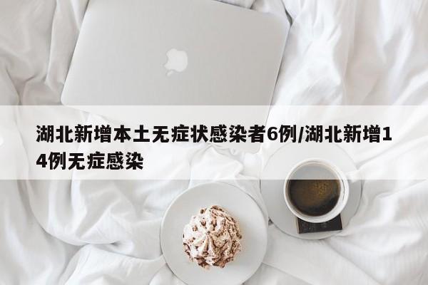 湖北新增本土无症状感染者6例/湖北新增14例无症感染