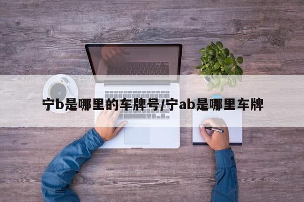 宁b是哪里的车牌号/宁ab是哪里车牌