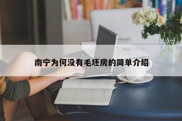 南宁为何没有毛坯房的简单介绍