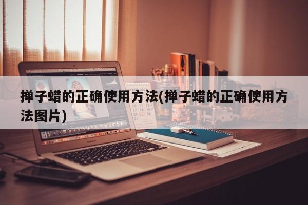 掸子蜡的正确使用方法(掸子蜡的正确使用方法图片)