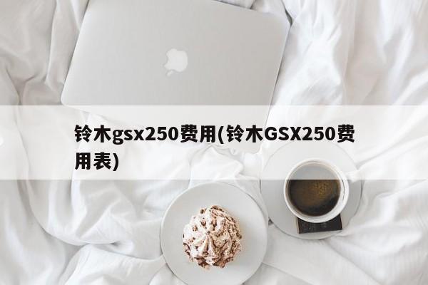 铃木gsx250费用(铃木GSX250费用表)