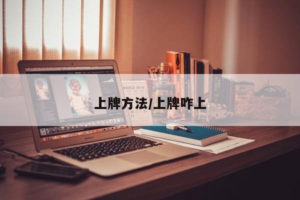 上牌方法/上牌咋上