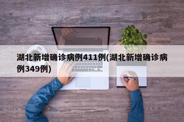 湖北新增确诊病例411例(湖北新增确诊病例349例)
