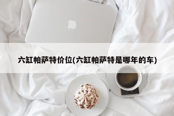 六缸帕萨特价位(六缸帕萨特是哪年的车)